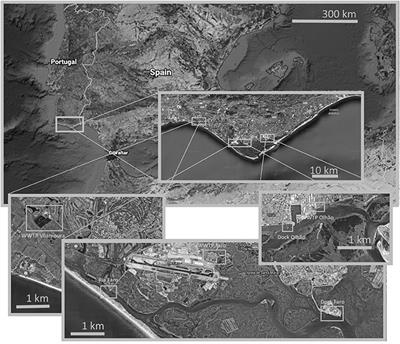 SARS-CoV-2 contamination potential in environmental and wastewaters in the Algarve region, Southern Portugal